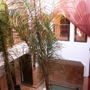 Property News