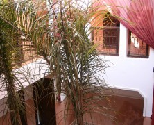 Property News