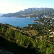 LOCATION SPOTLIGHT