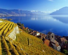 Wine and Art lovers flock to Christie’s exclusive auction