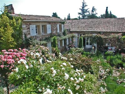 splendid property 2