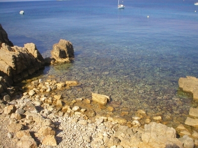 watersedge sanary