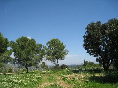 land grasse land grasse