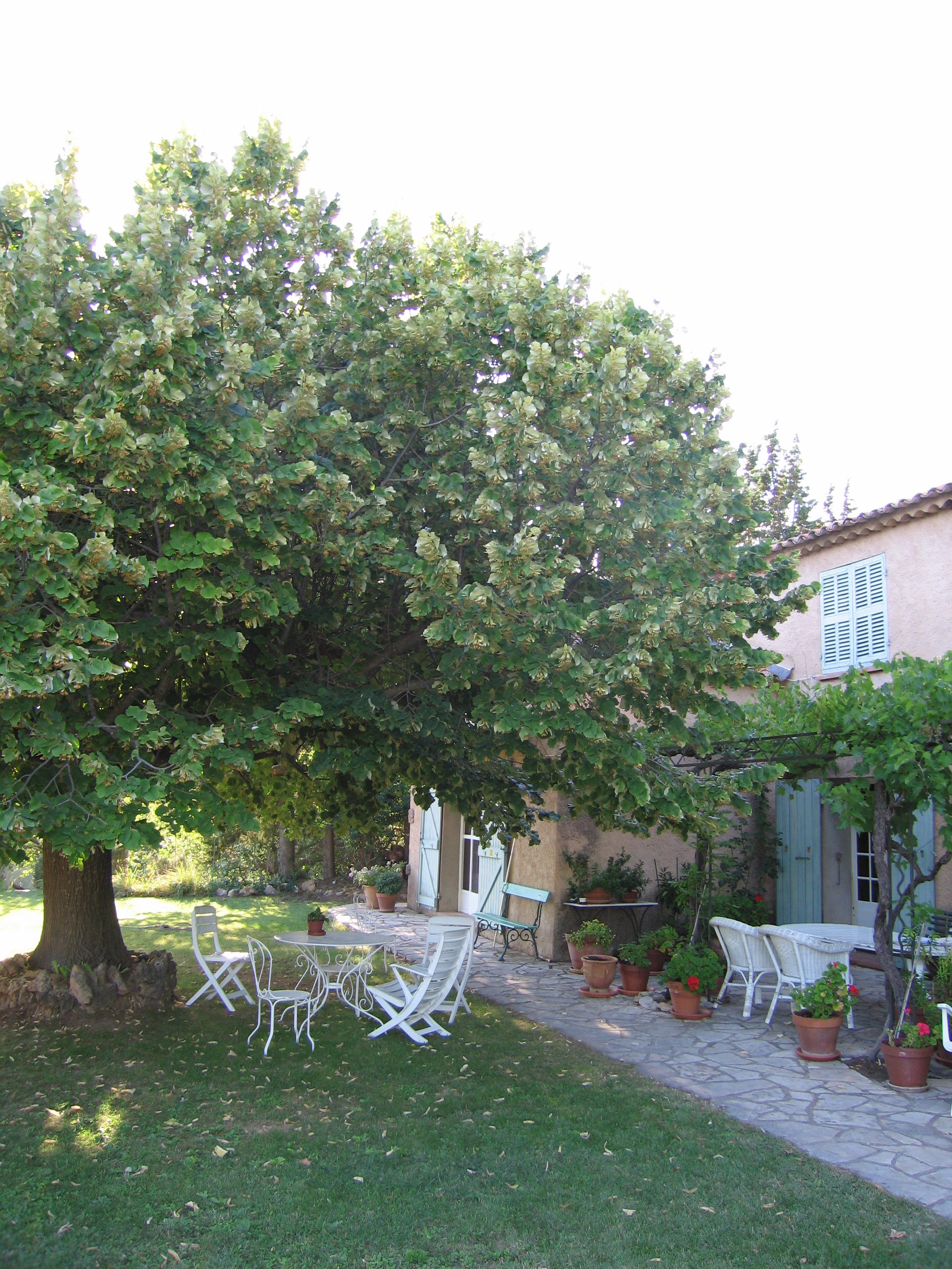 salernes property 2 salernes property 2