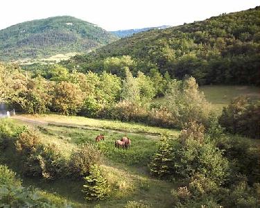 carcassone 3