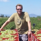 jon20harvesting20muscat20grapes1