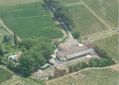 penzenas-vineyard1