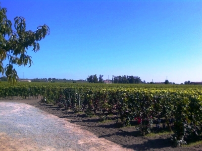 st-emilion