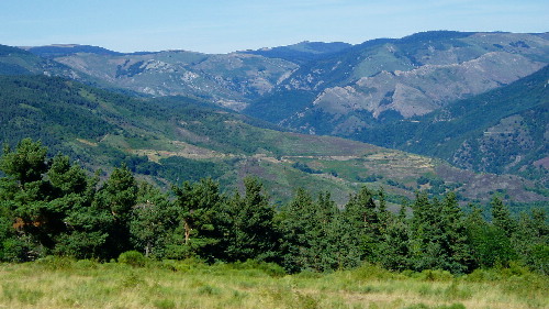 cevennes 2
