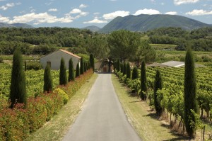 Landscape in the Provence, France