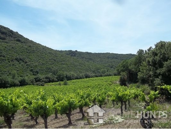 Wine not invest in Languedoc’s luxury “art de vivre”?