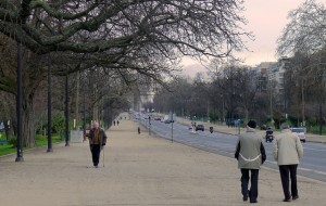 avenue FOCH