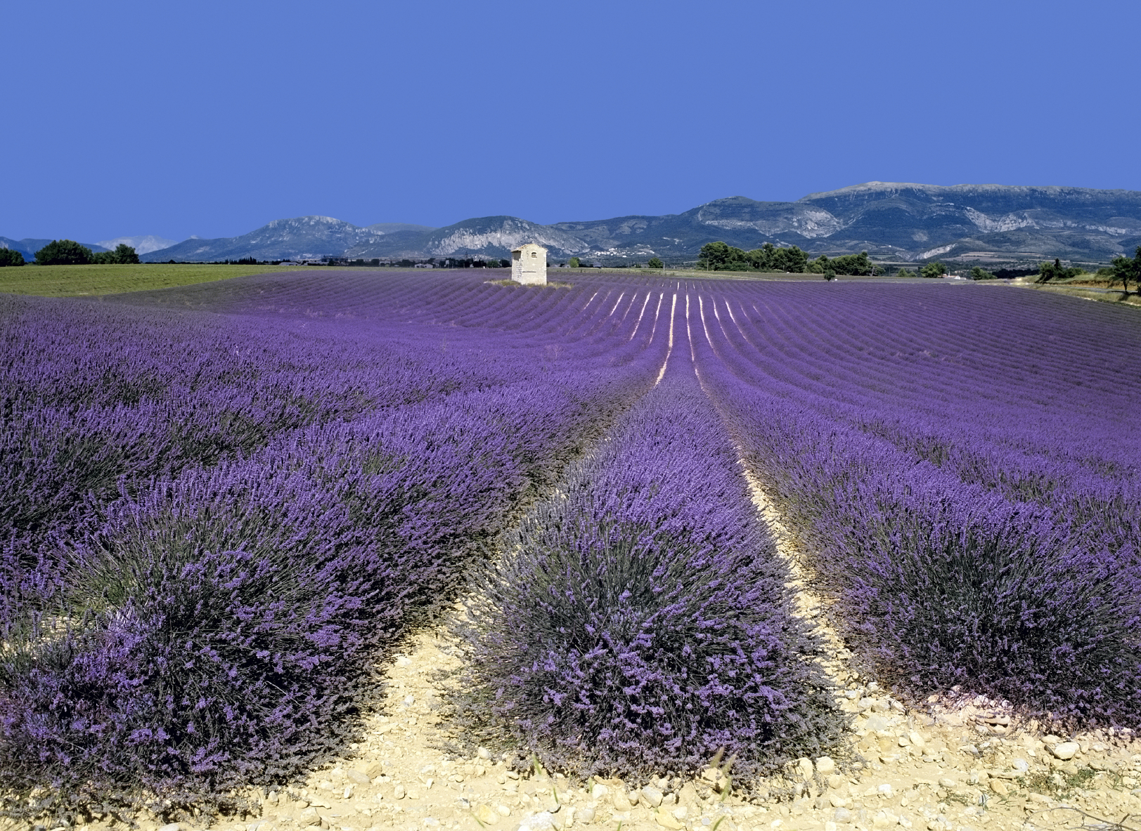 Property insights for Provence revealed by Home Hunts