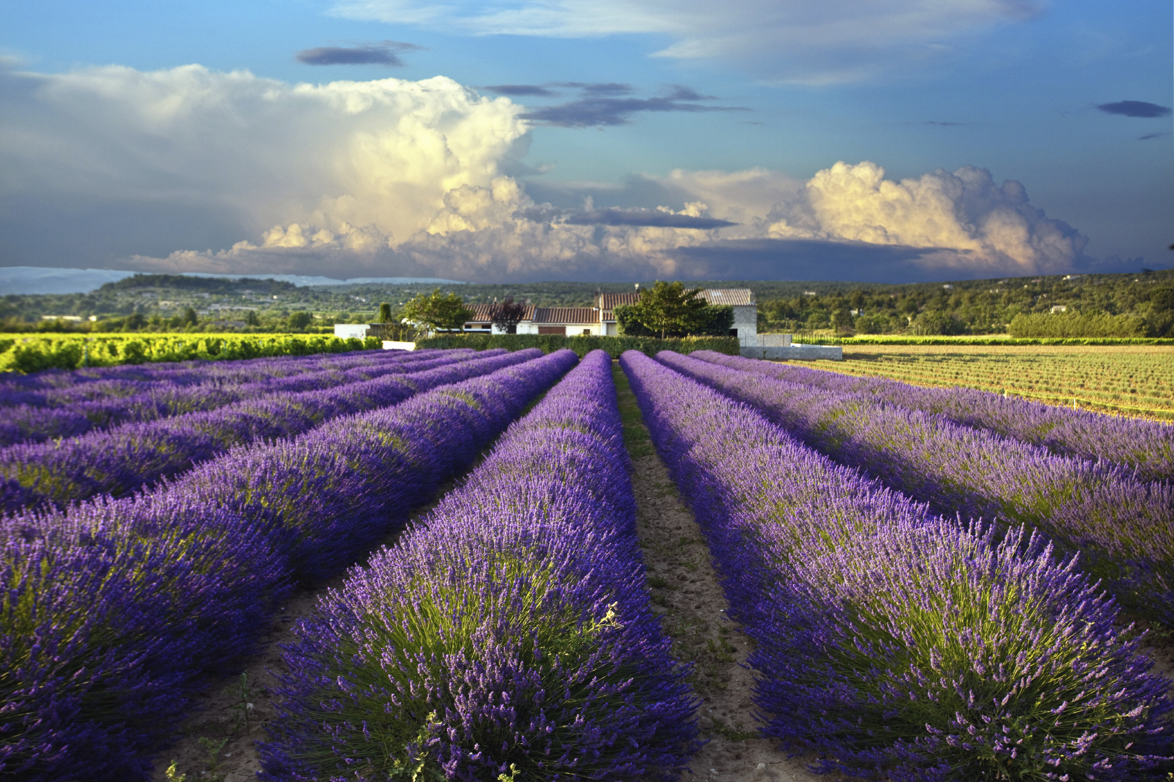 Now you can travel from London to Provence in less than six hours!