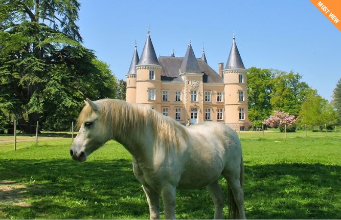 Six of the best chateaux for sale in France