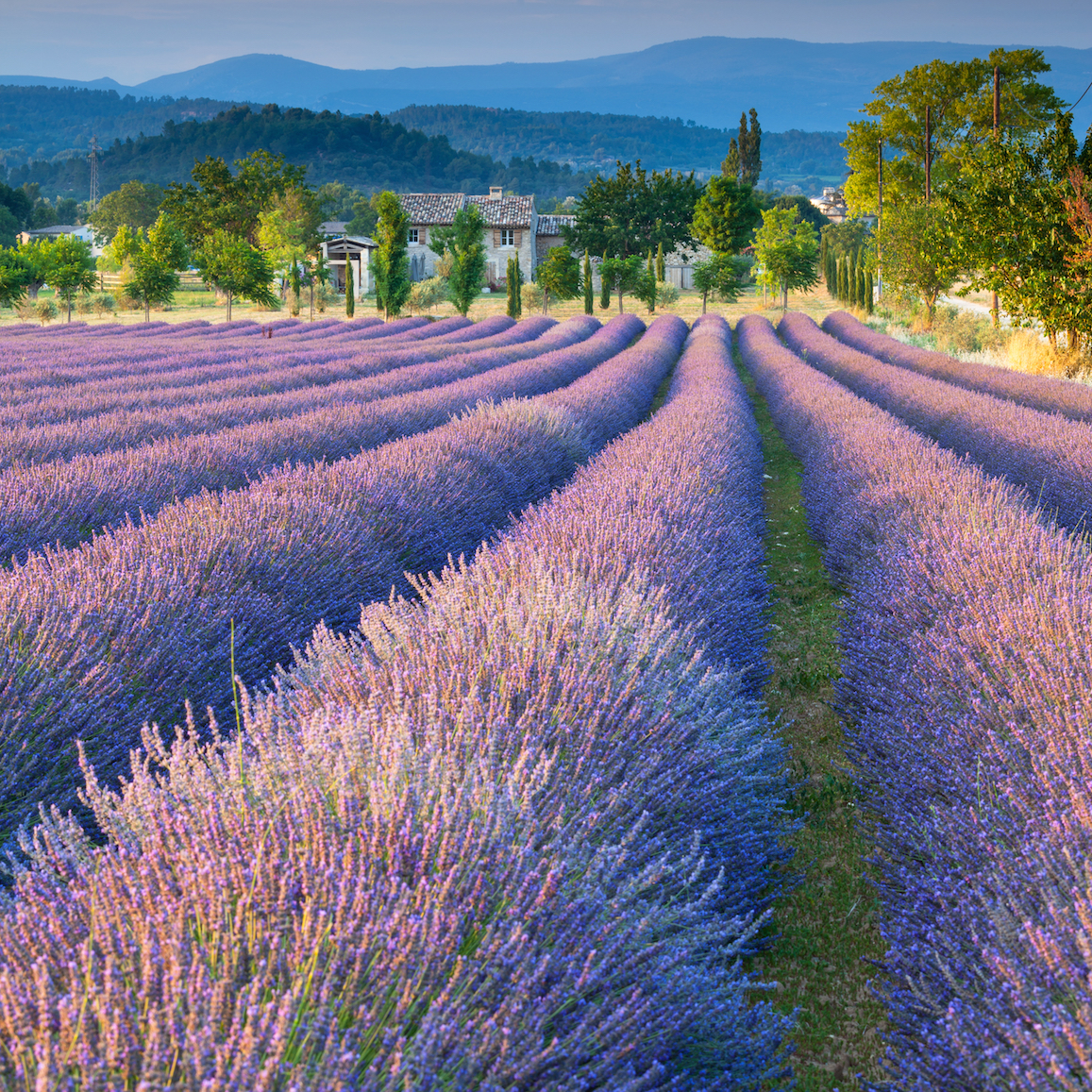 Five of the best villages to buy property in the South Luberon