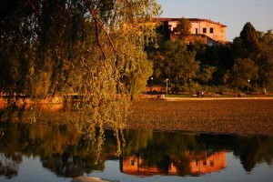 DUSK IN pROVENCE