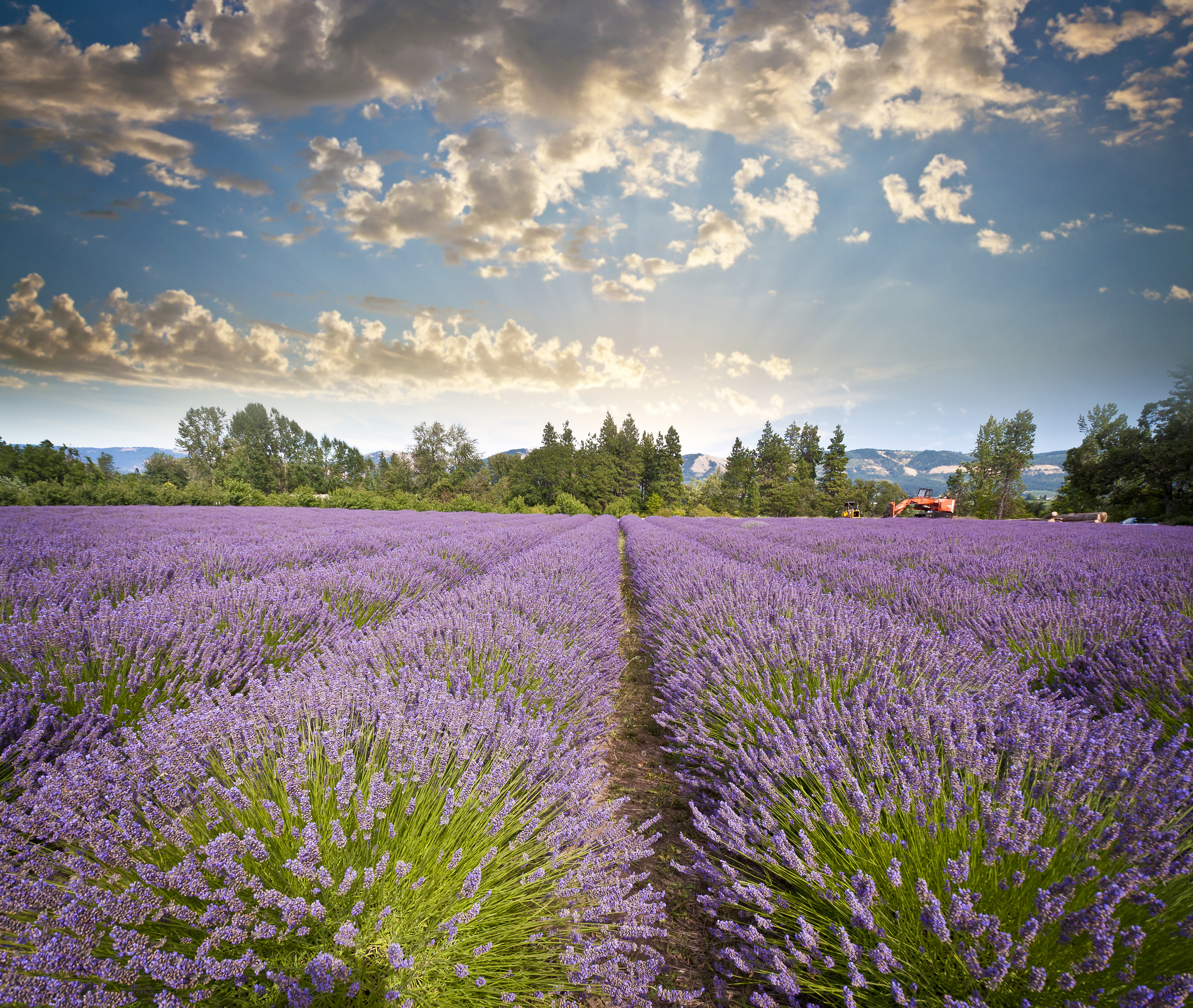 Brits still looking to buy property in France despite expats’ post-Brexit concerns