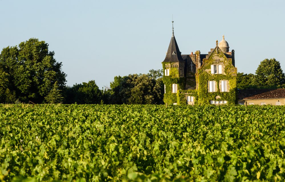 Vineyards and Chateaux: Some of the Best Properties in South West France