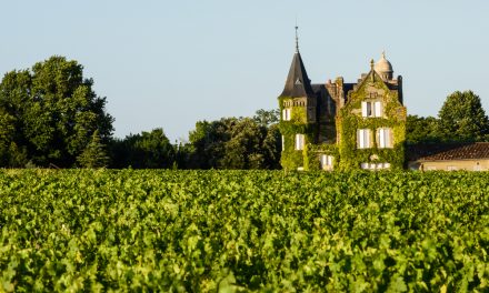 Vineyards and Chateaux: Some of the Best Properties in South West France