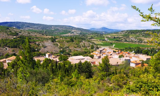 Why buy a property in the Minervois?