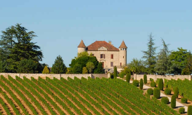 Some of the Best Vineyards for Sale in South West France
