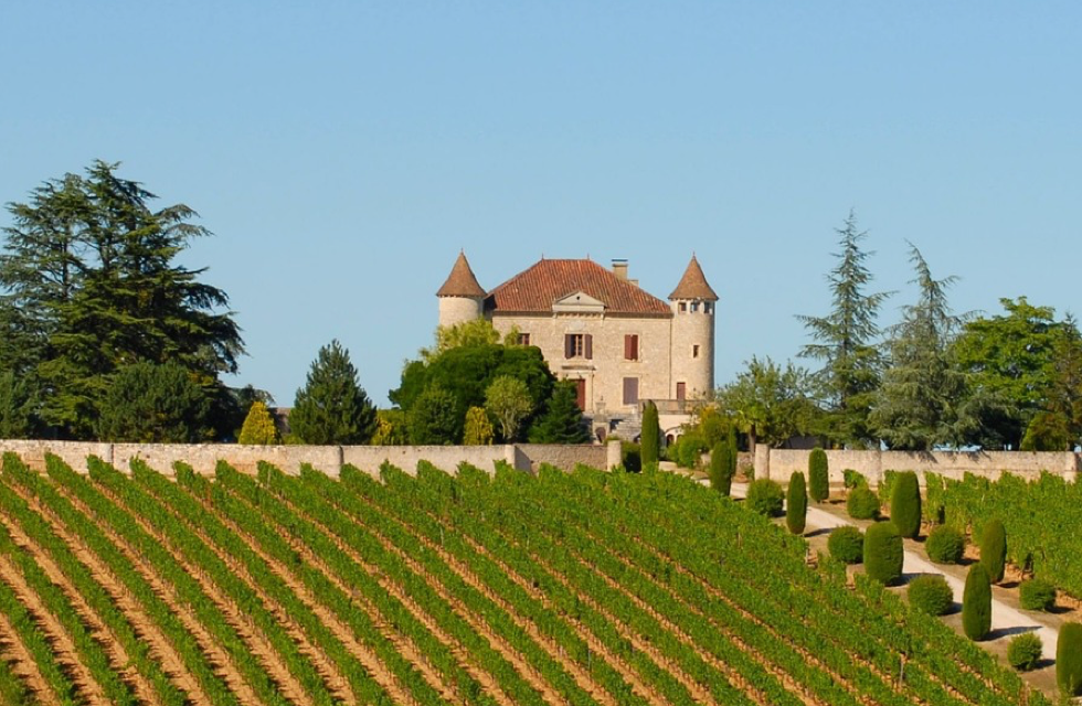 Some of the Best Vineyards for Sale in South West France