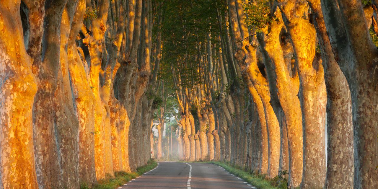 Introducing Lissie Templeton, Provence Property Hunter