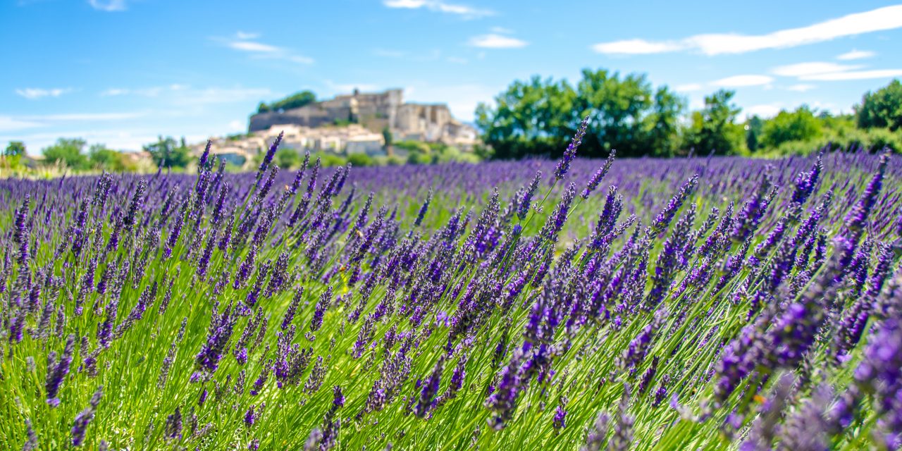 Welcome to Provence! Must-See destinations in this stunning region