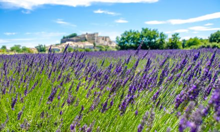 Welcome to Provence! Must-See destinations in this stunning region
