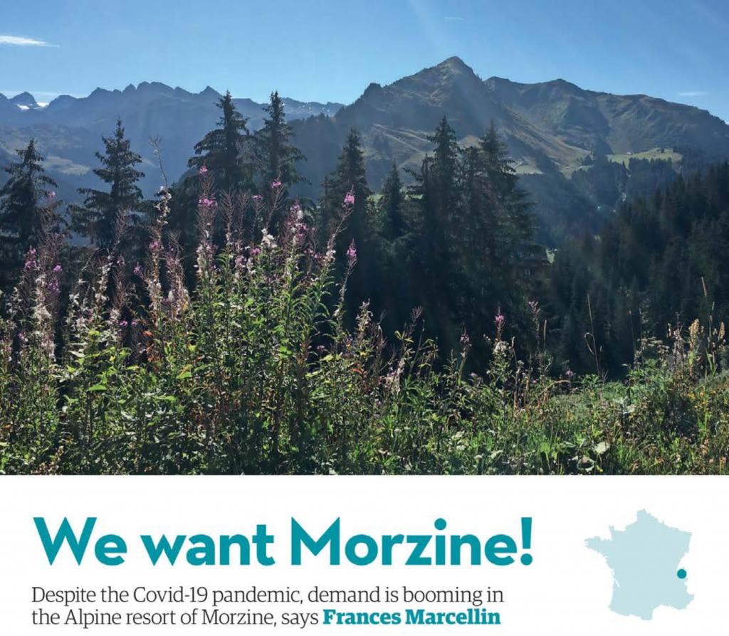 morzine property