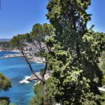 License to thrill……. Property in Nice