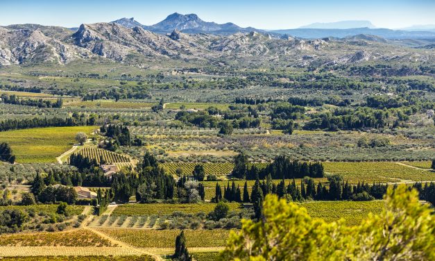 The French buying process when purchasing land.