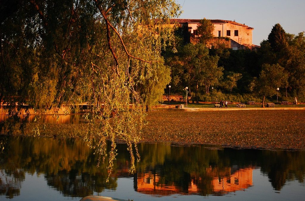 Experience the Magic of Autumn in France: Festivals, Balloons and Dream Homes