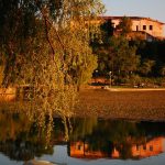 Experience the Magic of Autumn in France: Festivals, Balloons and Dream Homes