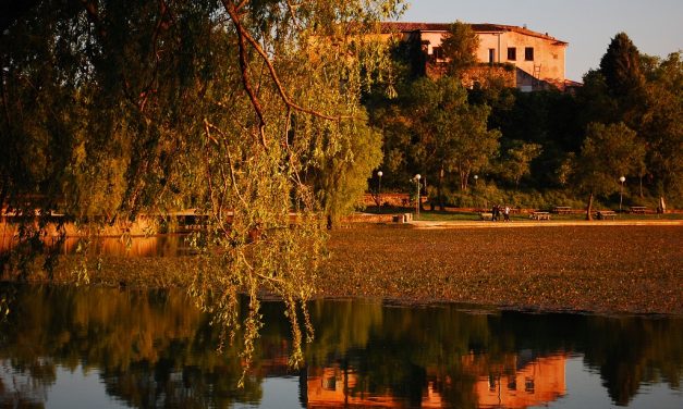 Discover Provence and its Luxury Country Estates