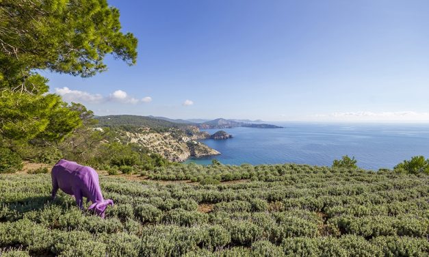 Five-star Ibiza Homes with Sensational Sea Views