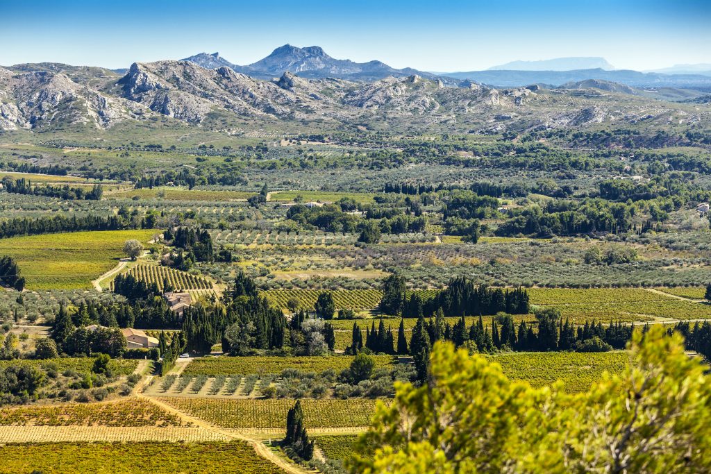 Property in les alpilles