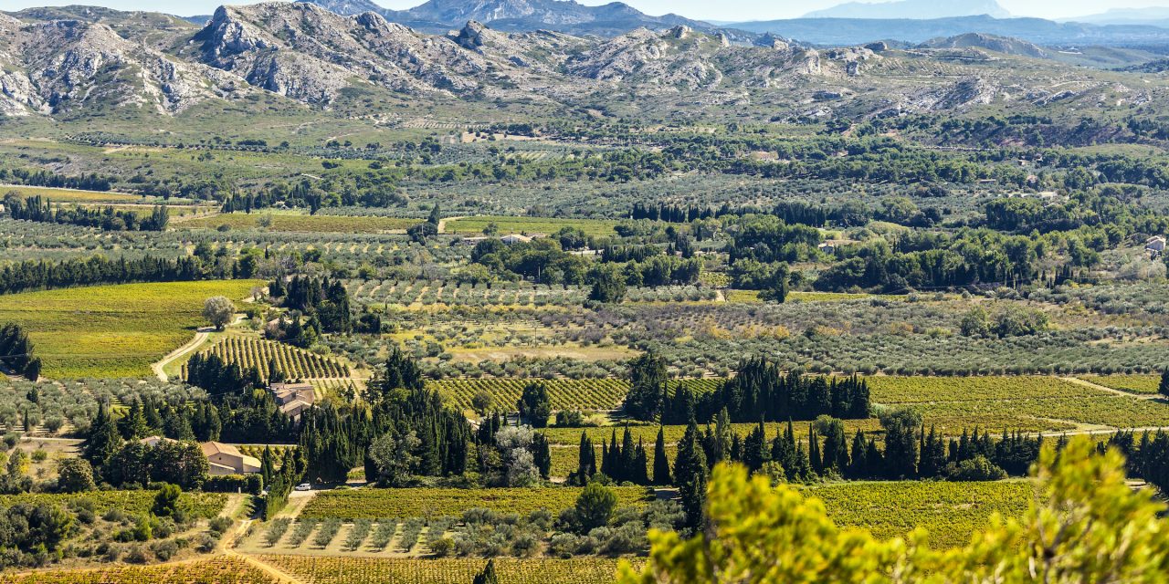 Why buy a property in Les Alpilles?