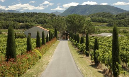 French Property Market Rebounds: Signs of a Stronger 2025 Ahead