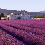 The Allure of Luberon Property: Your Provencal Dream Awaits