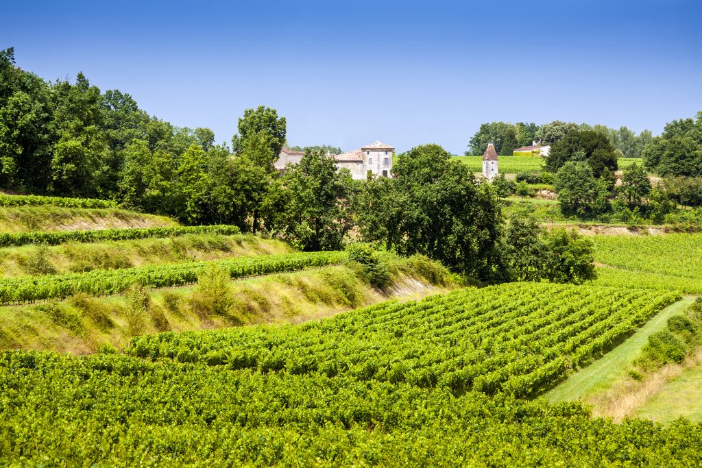 provence